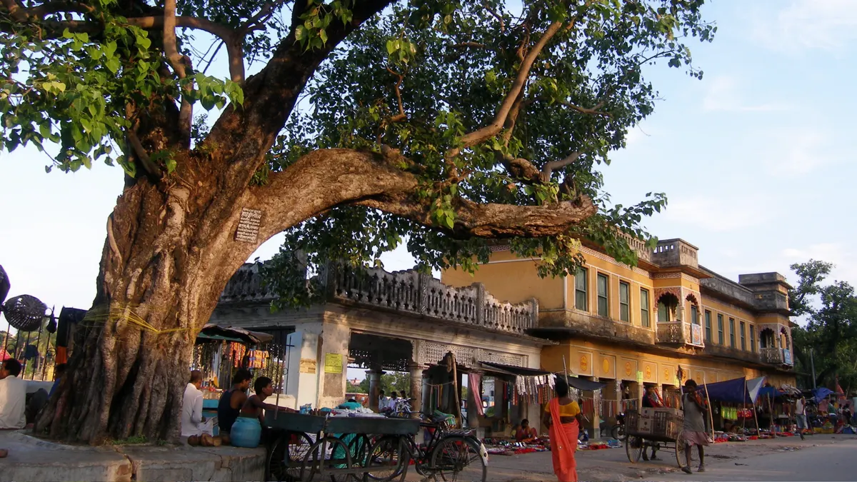 Dhanush Sagar in Janakpur